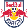 Escudo 6